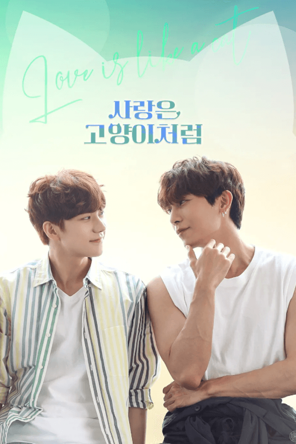 사랑은 고양이처럼